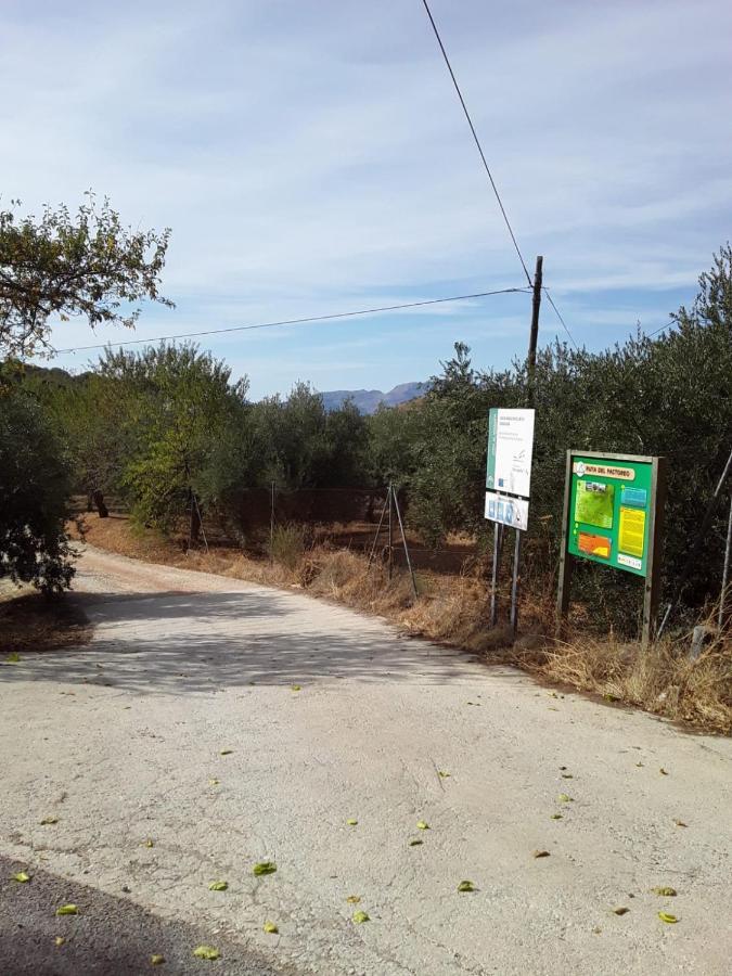 Hacienda La Buena Vida B&B En Appartementen Algarinejo 외부 사진