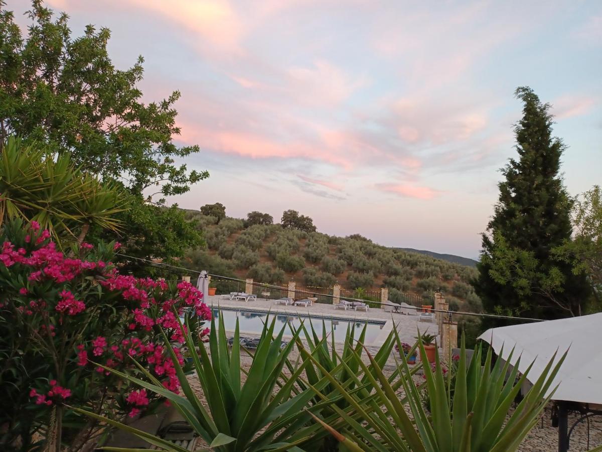 Hacienda La Buena Vida B&B En Appartementen Algarinejo 외부 사진